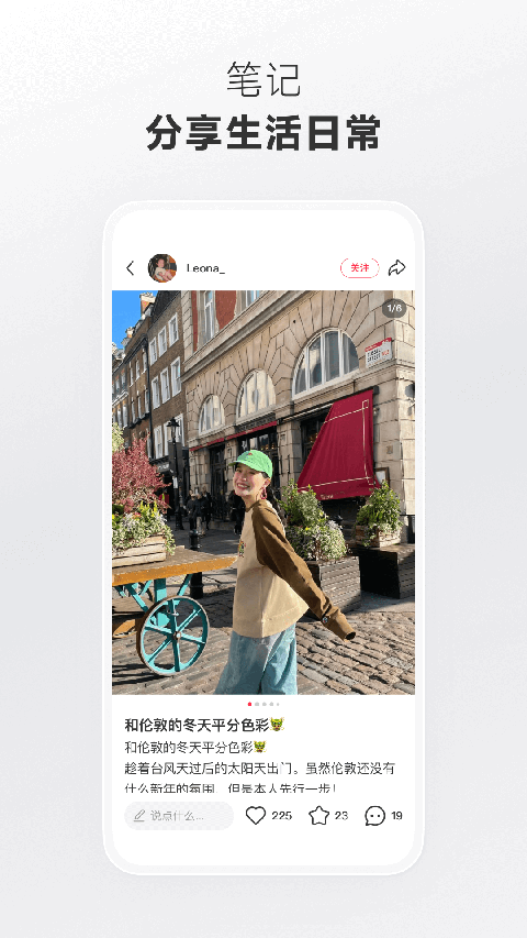 趴在银杏叶上的玳瑁猫特写壁纸